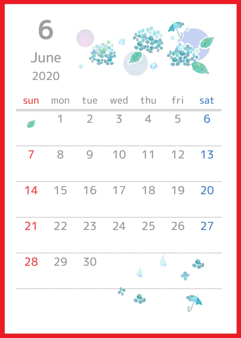 2020年6月縦型の「紫陽花の花」イラストのカレンダー